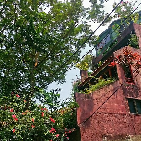 Rainforest Bed & Breakfast Kuala Lumpur Esterno foto