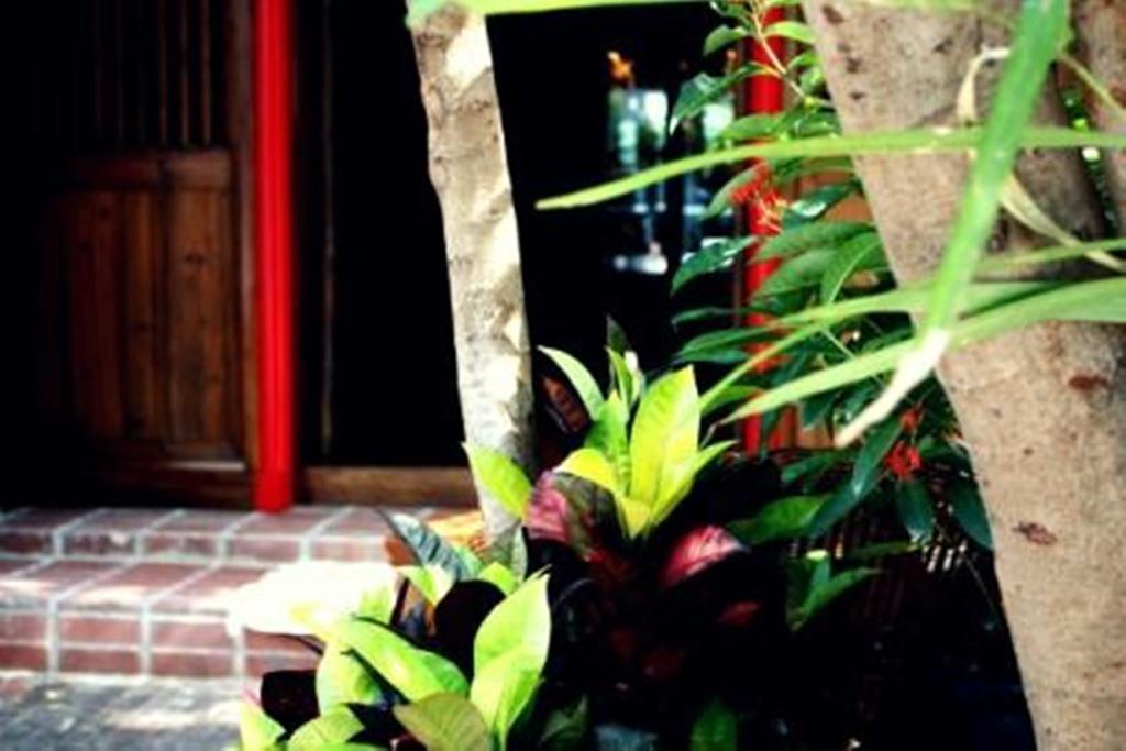 Rainforest Bed & Breakfast Kuala Lumpur Esterno foto