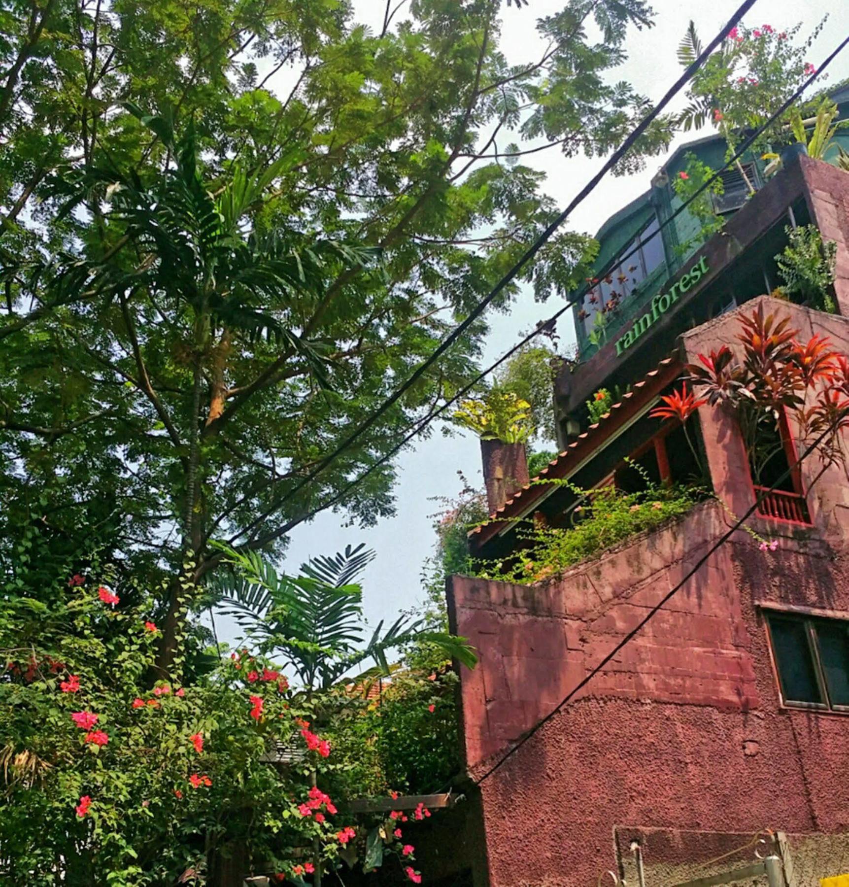 Rainforest Bed & Breakfast Kuala Lumpur Esterno foto