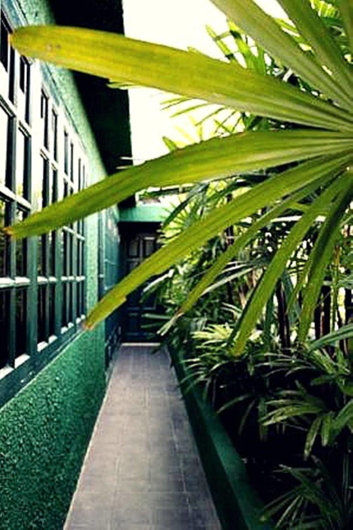 Rainforest Bed & Breakfast Kuala Lumpur Esterno foto
